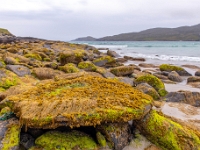 Vatersay